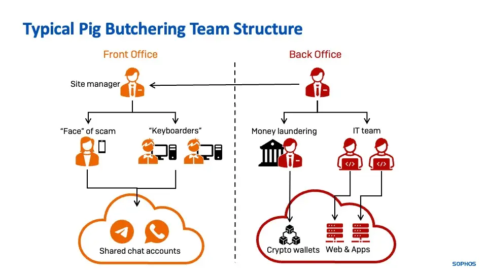 Flowchart illustrating a typical pig butchering scam team structure. It is divided into 'Front Office' and 'Back Office' sections. The front office includes site managers, "face'' of scam, keyboarders using VPNs, and shared chat accounts. The back office covers money laundering, crypto wallets, IT team focusing on cybersecurity, and web & apps.