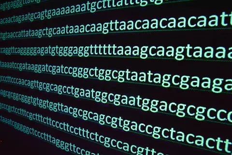 A digital screen displays a sequence of green DNA nucleotides, consisting of the letters A, T, G, and C, arranged in seemingly random order. The black background sharply contrasts with the bright letters, emphasizing the DNA code. This secure display could be part of a VPN protected system to prevent any Threat exposure during research.