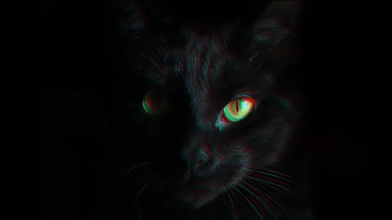 Close-up of a black cat with bright green eyes. The image has an ethereal, almost holographic effect, with a dark background that makes the cat's features stand out. The lighting highlights the eyes, making them appear to glow in the darkness, resembling a guardian against unseen cyberthreats.